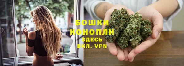 шишки Зерноград