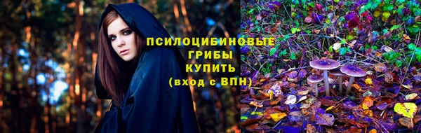 шишки Зерноград