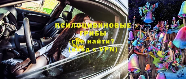 шишки Зерноград